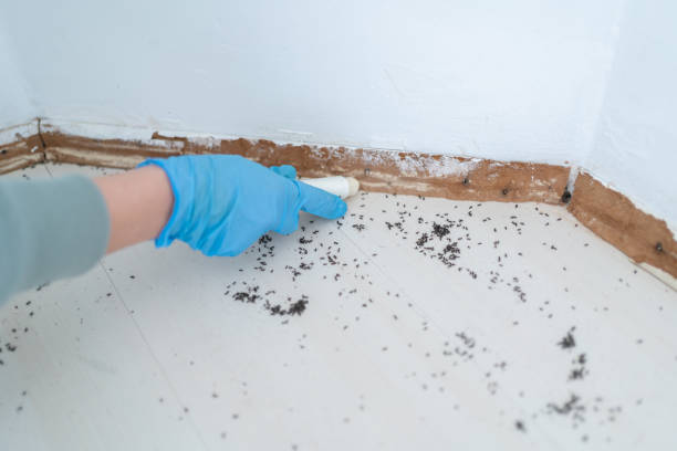 Best Pest Exclusion Services  in Arnaudville, LA